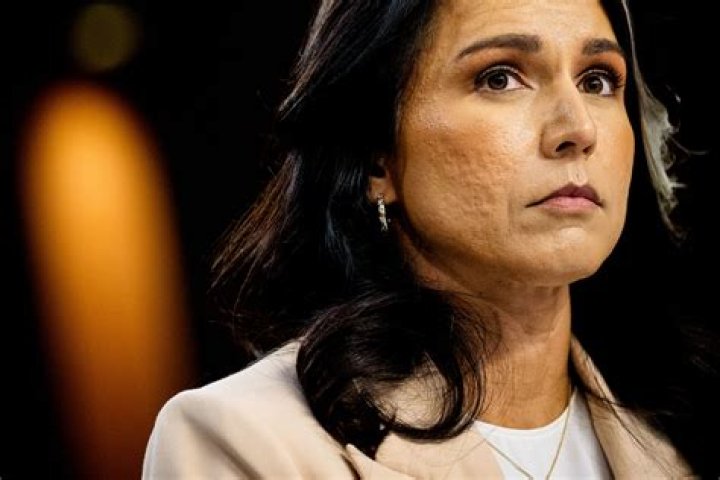 What Happened To Tulsi Gabbard? Citizens Are Curious About Her Grey Hair And Face Changes Here's Why